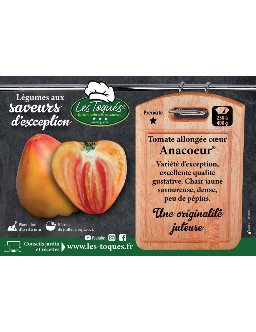 Tomate allongée cœur Anacoeur®