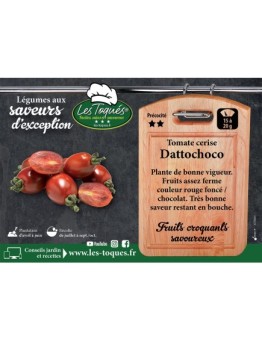 Tomate cerise Dattochoco