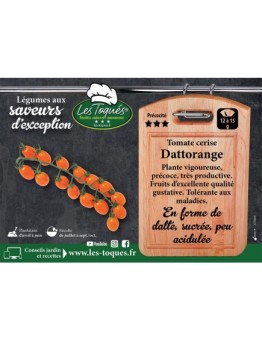 Tomate cerise Dattorange