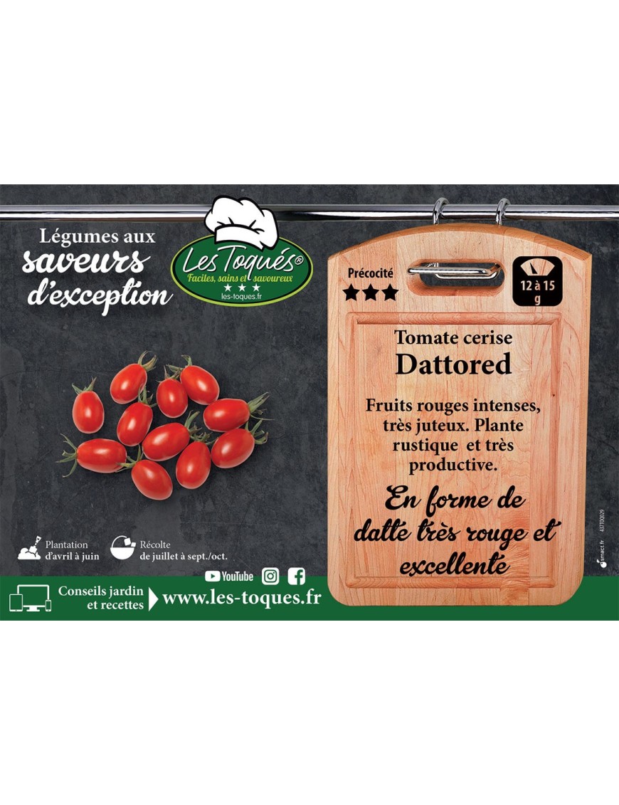 Tomate cerise Dattored