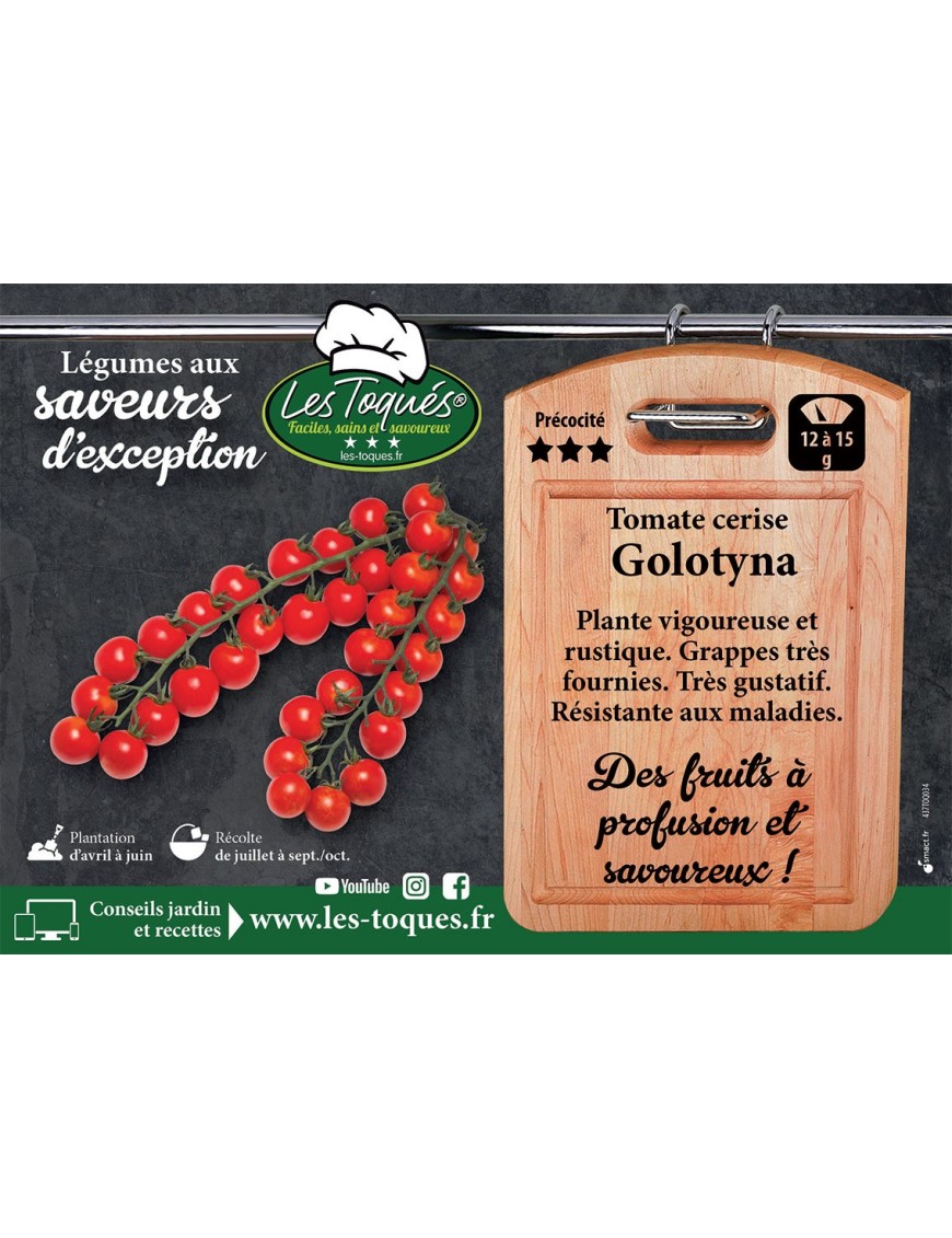 Tomate cerise Golotyna