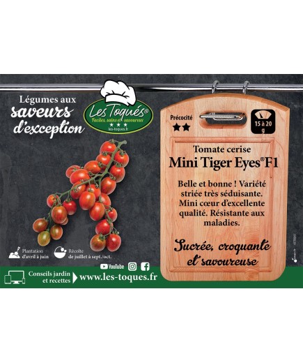 Tomate cerise Mini Tiger Eyes® F1