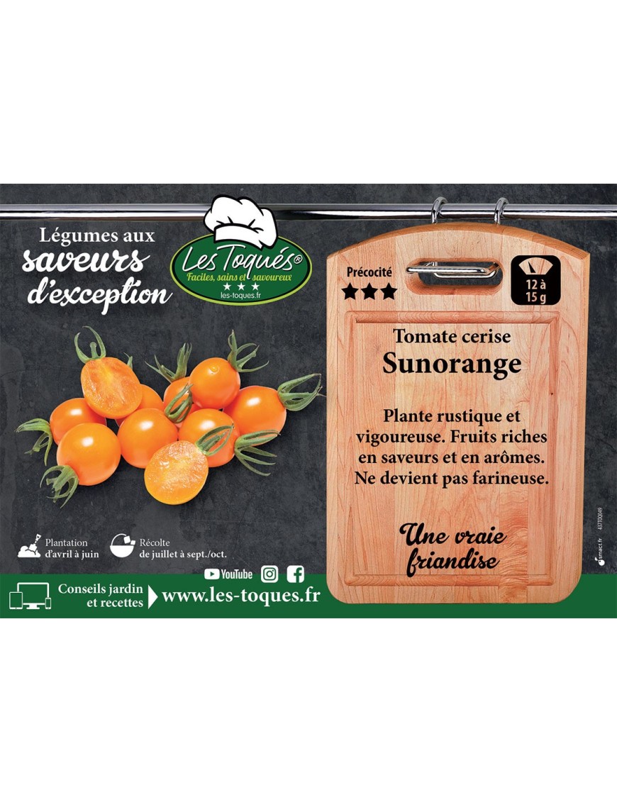 Tomate cerise Sunorange