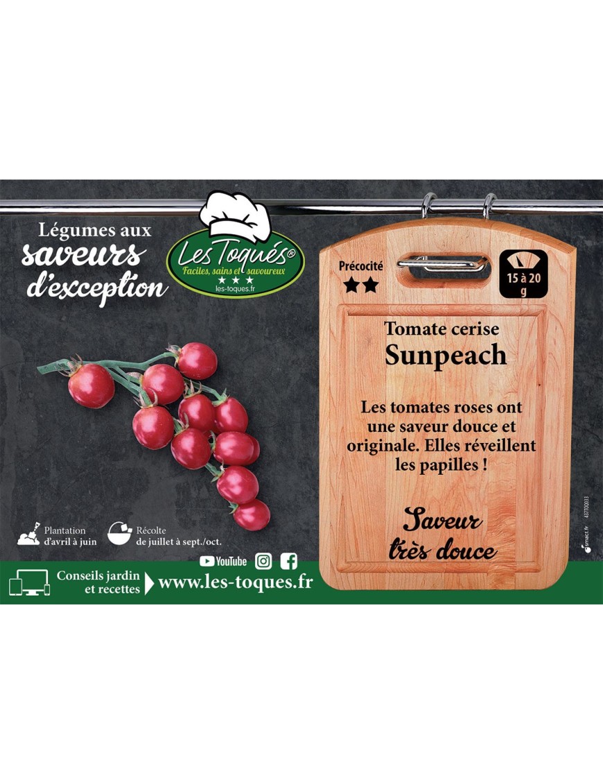 Tomate cerise Sunpeach