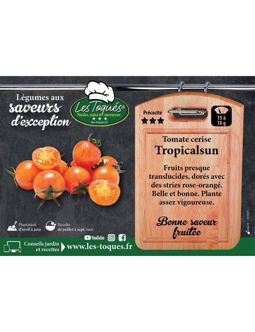 Tomate cerise Tropicalsun