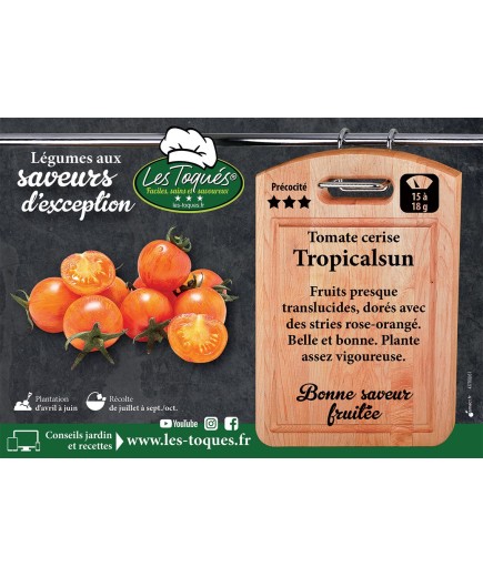Tomate cerise Tropicalsun