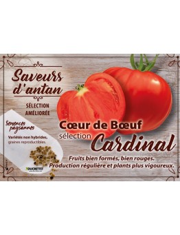 Tomate Cœur de Boeuf sélection Cardinal