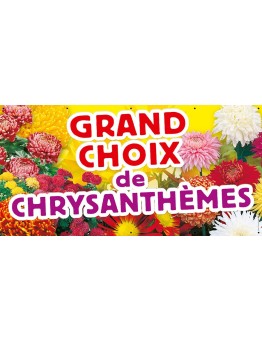 Banderole 009 - Chrysanthèmes