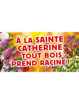 Banderole 010 - Sainte-Catherine