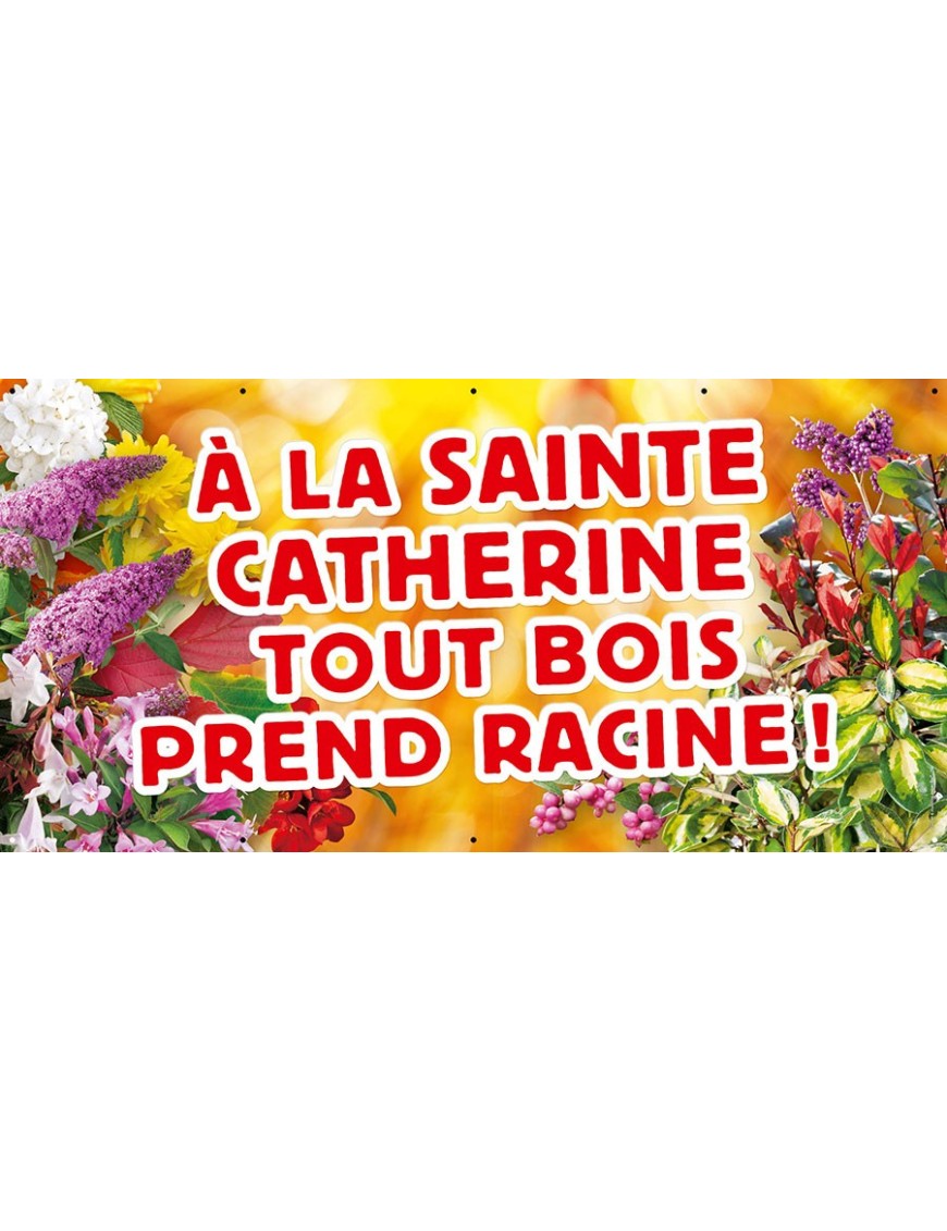 Banderole 010 - Sainte-Catherine