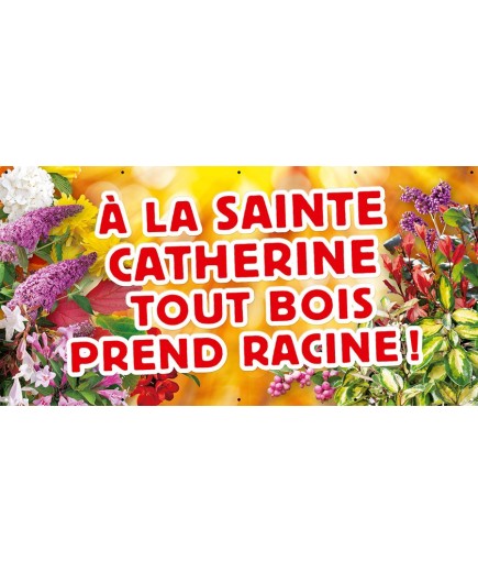 Banderole 010 - Sainte-Catherine