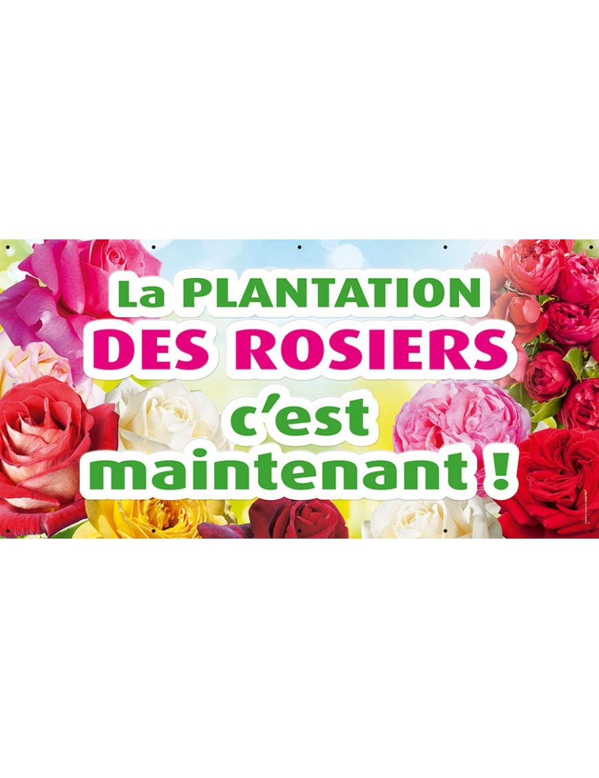 Banderole 012 - Rosiers