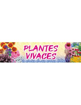Banderole 028 - plantes vivaces