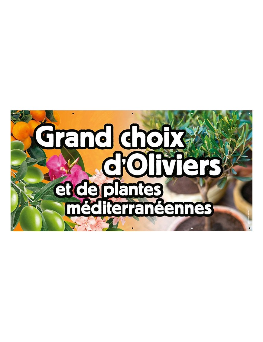 Banderole 072 - grand choix oliviers