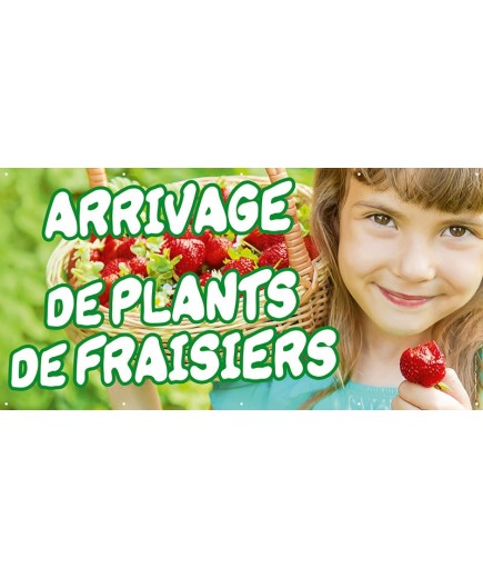 Banderole 078 - plants de fraisiers