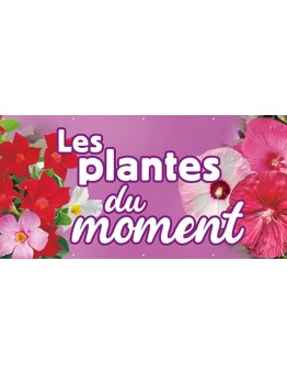 Banderole 097 - plantes du moment