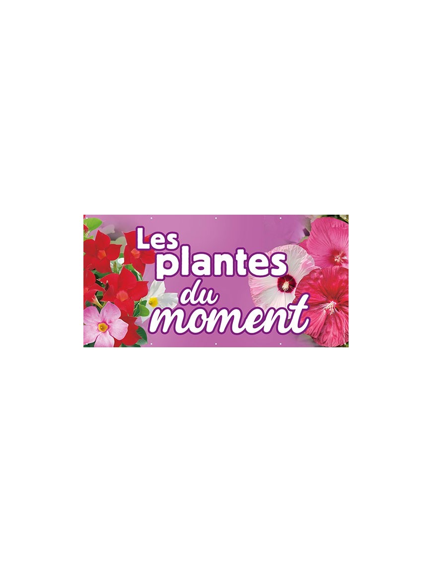 Banderole 097 - plantes du moment
