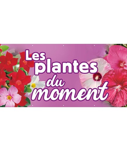 Banderole 097 - plantes du moment