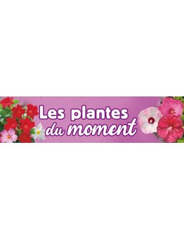 Banderole 097 - plantes du moment
