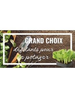 Banderole 111 - plants potager