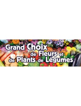 Banderole 122 - plants de légumes