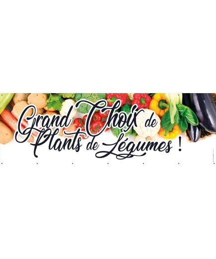 Banderole 124 - plants de légumes