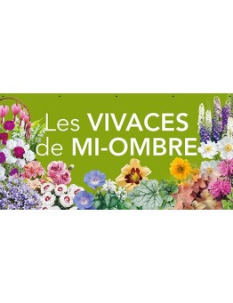 Banderole 170 - vivaces mi-ombre