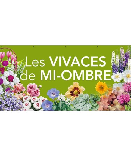 Banderole 170 - vivaces mi-ombre
