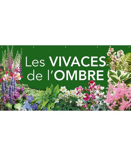 Banderole 171 - vivaces ombre