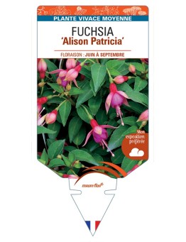 FUCHSIA Alison Patricia
