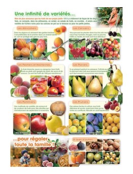 Flyer Fruitiers