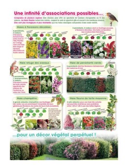 Flyer Haies fleuries
