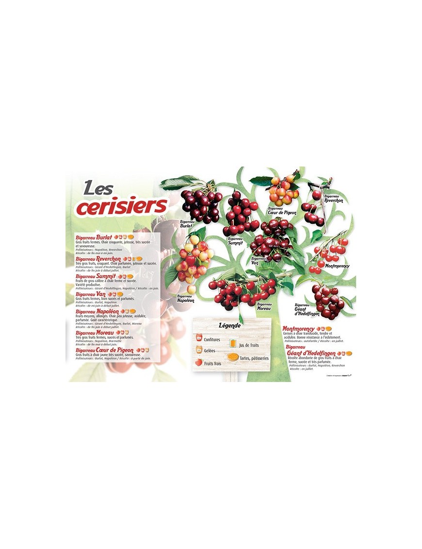 PANNEAU CERISIERS