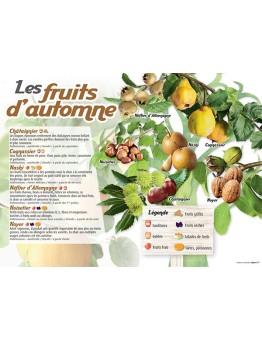 PANNEAU FRUITS D'AUTOMNE