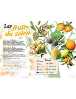 PANNEAU FRUITS DU SOLEIL