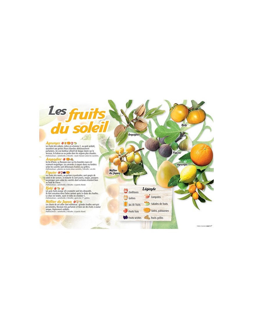 PANNEAU FRUITS DU SOLEIL