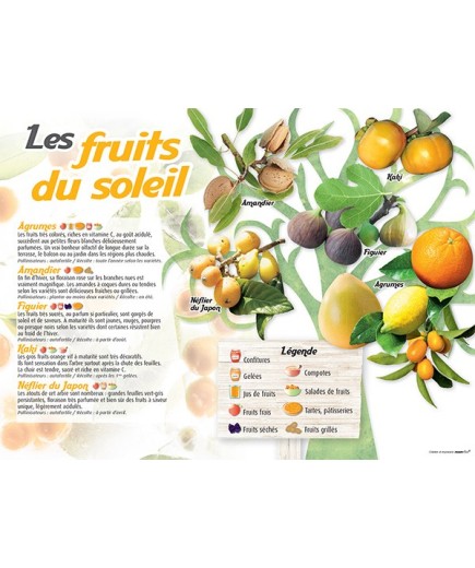 PANNEAU FRUITS DU SOLEIL