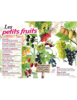 PANNEAU PETITS FRUITS