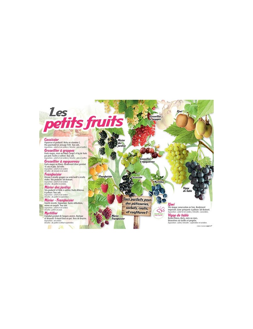 PANNEAU PETITS FRUITS