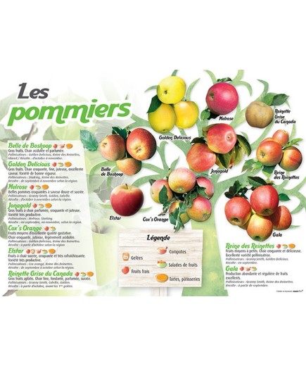 PANNEAU POMMIERS