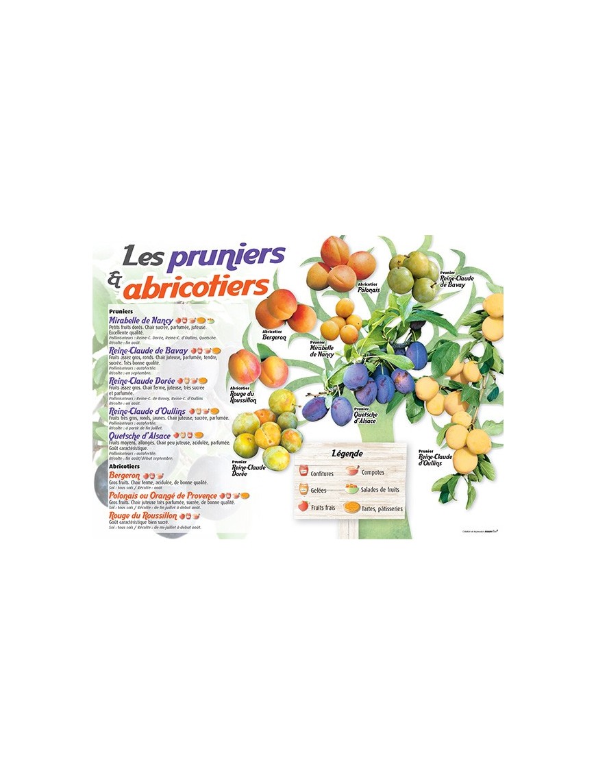 PANNEAU PRUNIERS & ABRICOTIERS