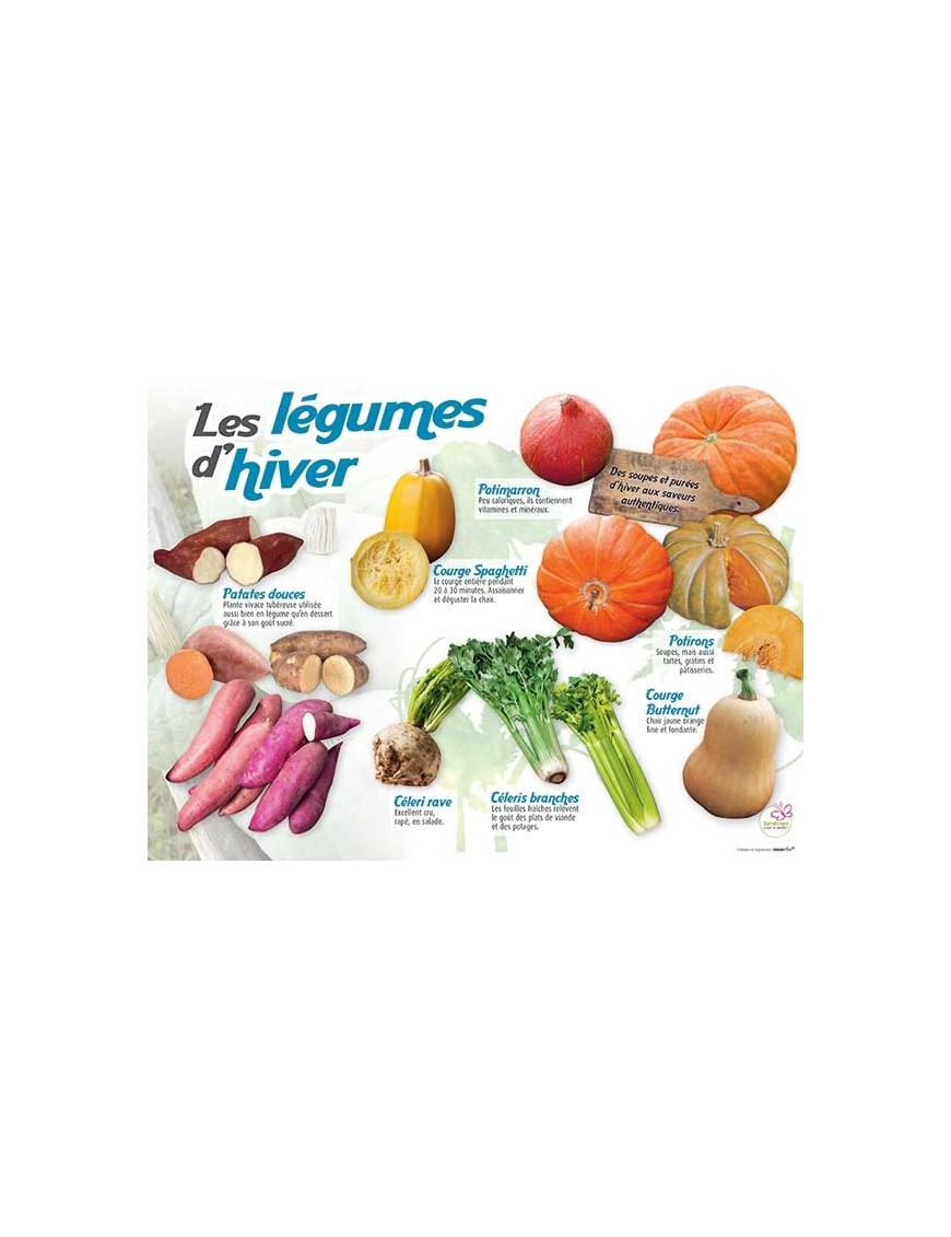 PANNEAU LÉGUMES D'HIVER