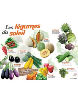PANNEAU LÉGUMES DU SOLEIL