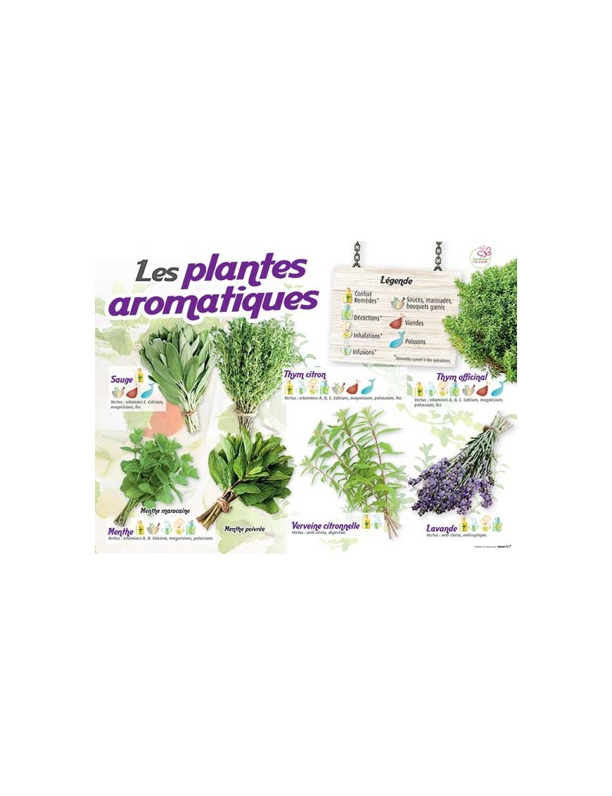 PANNEAU AROMATIQUES