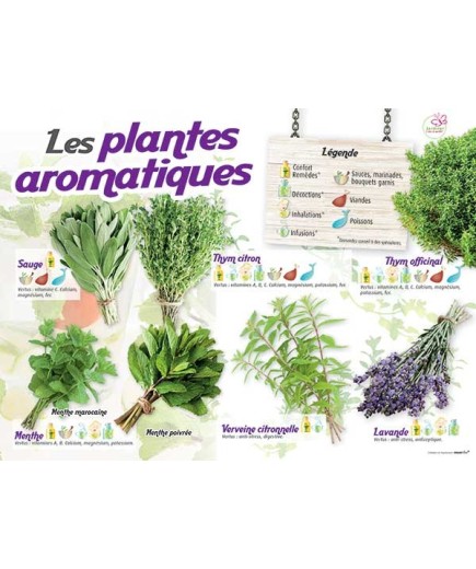 PANNEAU AROMATIQUES