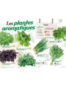PANNEAU AROMATIQUES