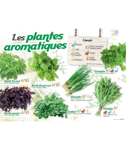 PANNEAU AROMATIQUES