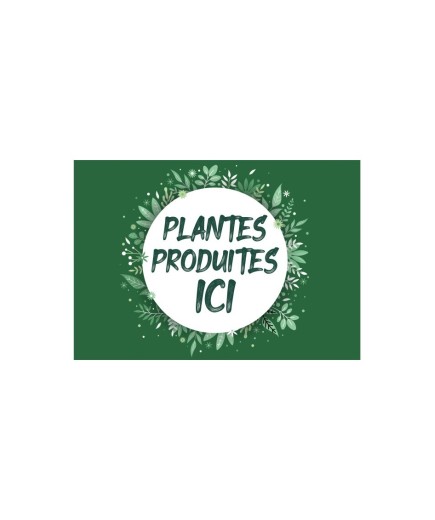 Affichette 'Plantes produites ici' A4