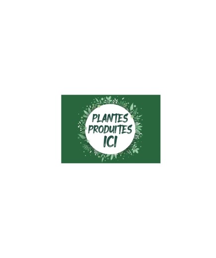 Affichette 'Plantes produites ici' A5