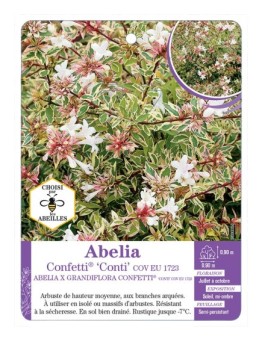 ABELIA CONFETTI® Conti (*)